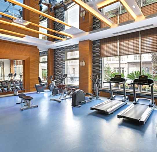 Healthy Sports Club